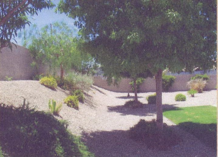 Back yard-1