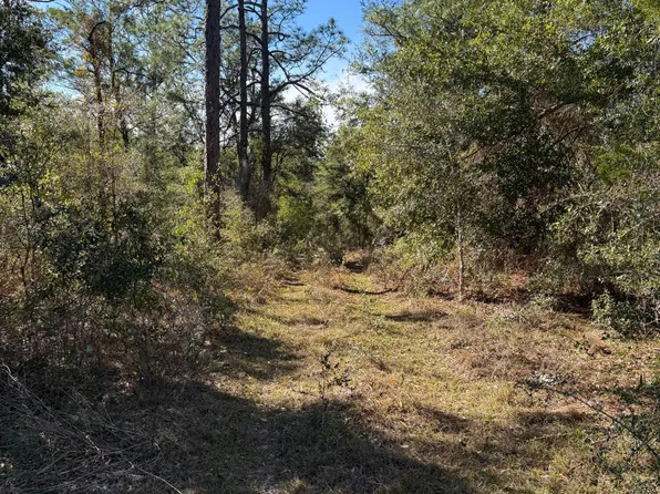 LOT 21 Grassy Pond Rd, Chipley, FL 32428