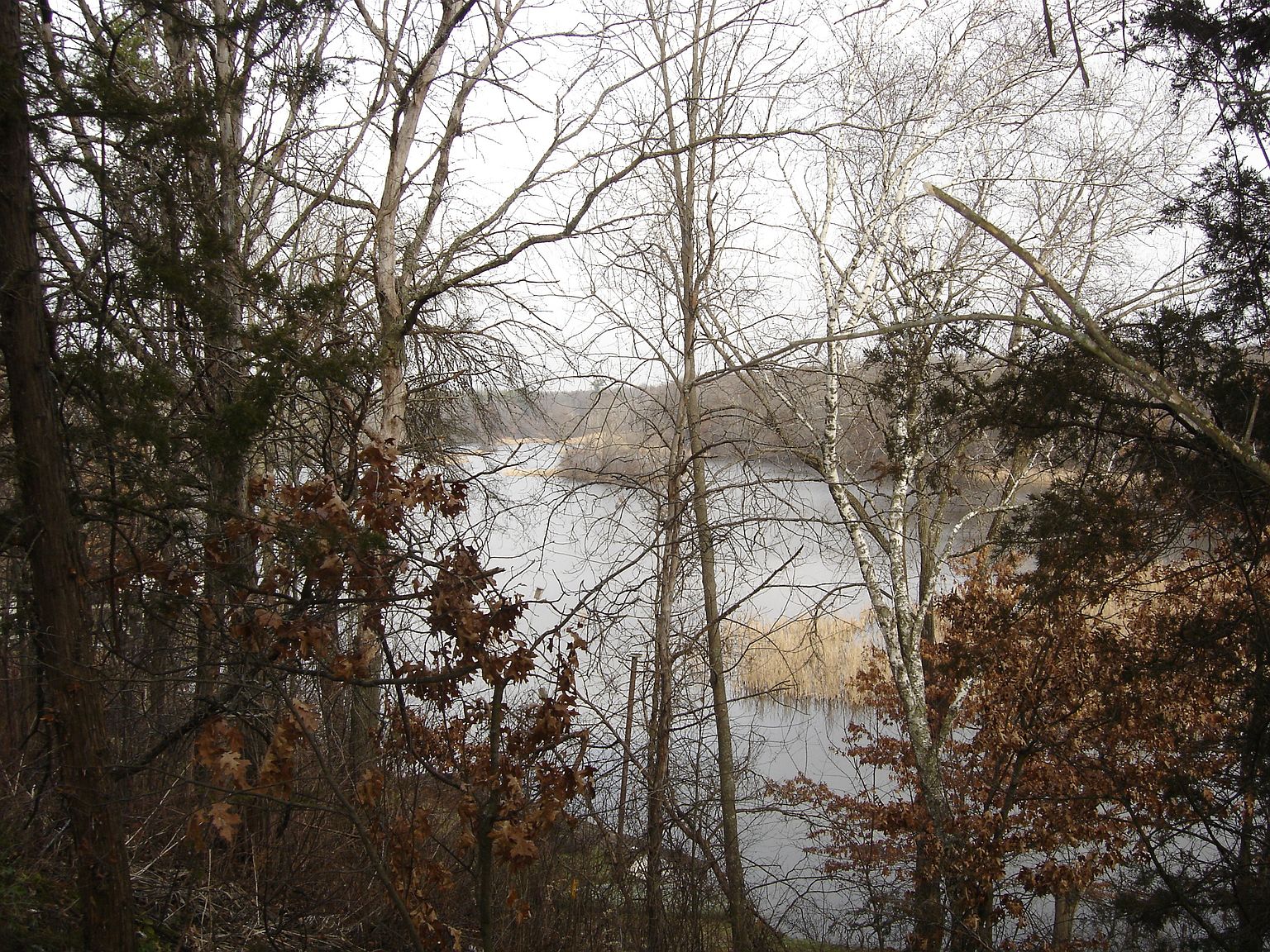 40c19ac2048facadbe2e3ef270e0ec