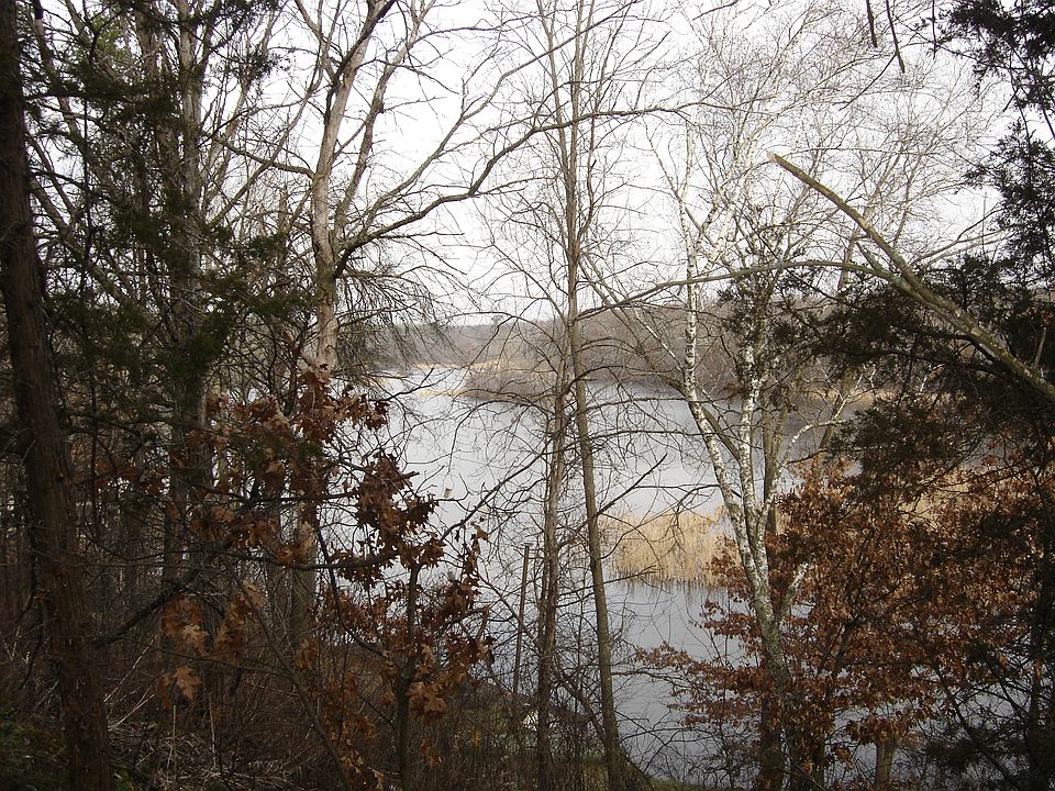 lot 8 lake view
