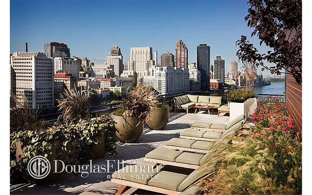 Rented by Douglas Elliman | media 10