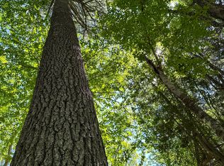 50-52A-54 Old County Rd, Sedgwick, ME 04676