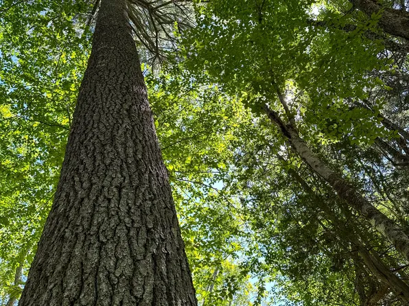 50-52A-54 Old County Road, Sedgwick, ME 04676