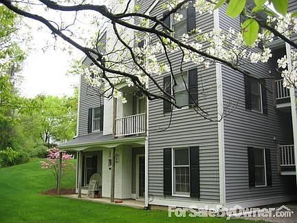 back lawn