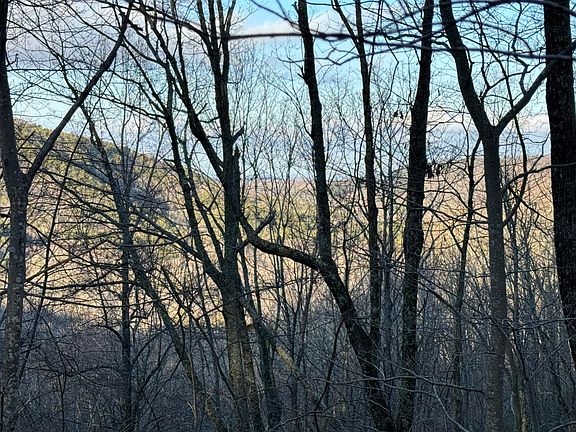 4th image of 0 Shivas Crest Crst #70B