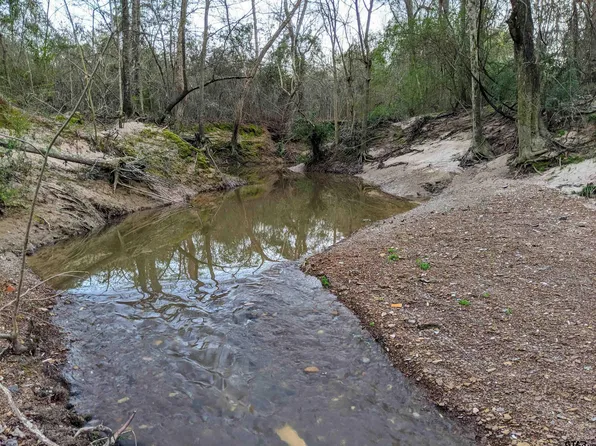 Tbd Fm 3019, Winnsboro, TX 75494