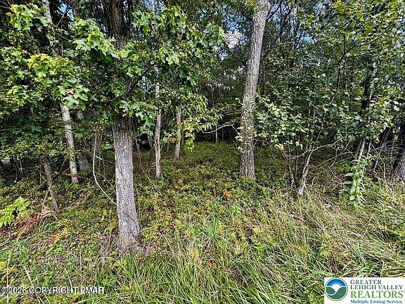 2nd image of LOT 14 Bear Ln