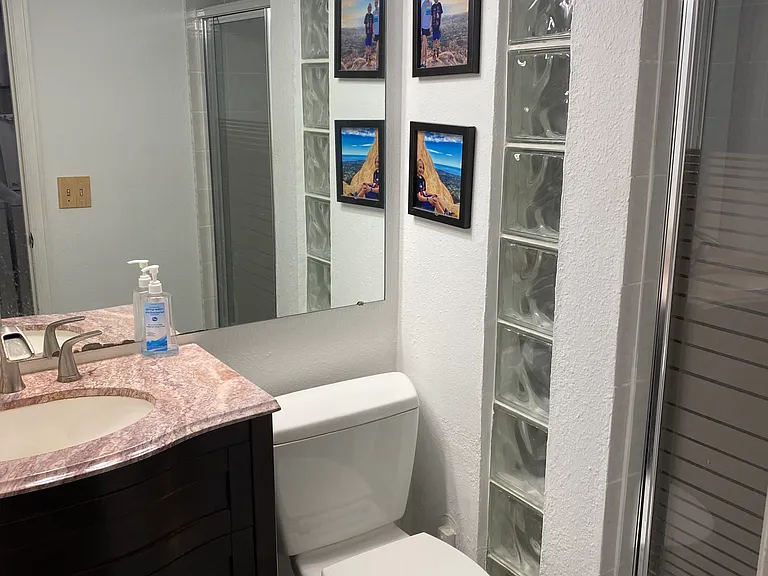 downstairs bathroom and shower