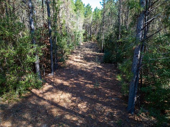 2nd image of 1 Lyons Cemetery Rd