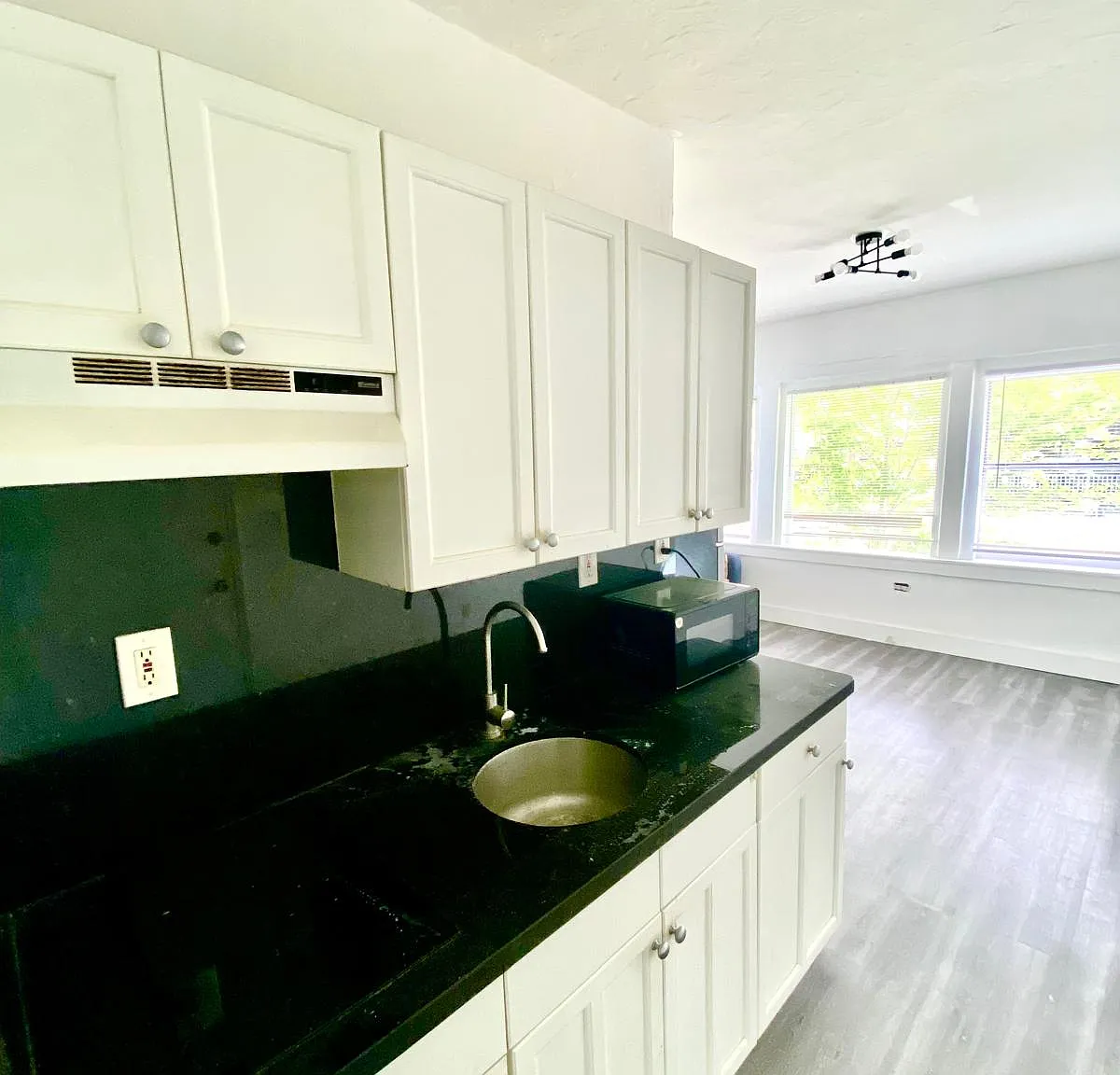 1 bed, 428 sqft, $1,790 — Photo 3