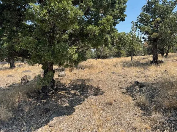 Unit Dwinnell #3-lot 157, Weed, CA 96094