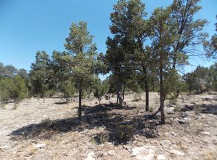 3155 Trail End, Overgaard, AZ 85933