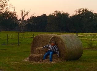 13107 Scharber Rd, Dade City, FL 33525