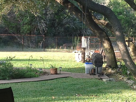 5th image of 14525 Gunter Ave