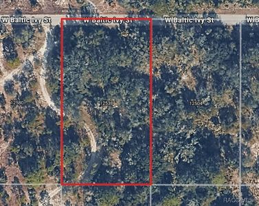 12538 W Baltic Ivy St, Crystal River, FL, 34428