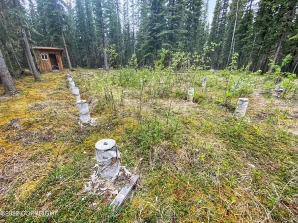 L1-2 Red Fox Dr, Tok, AK 99780