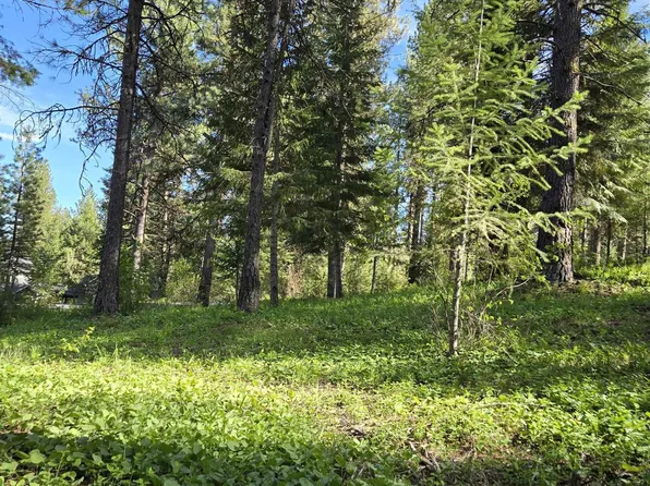 Sorrel Dr, New Meadows, ID 83654