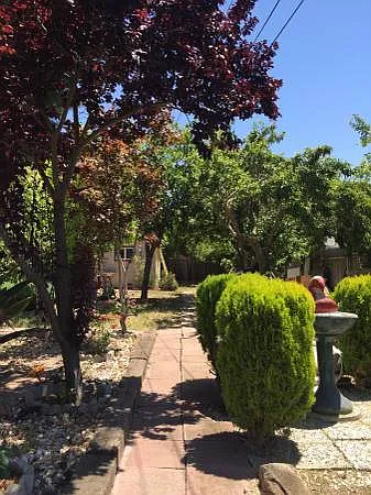 25386 Uvas Ct — Photo 19