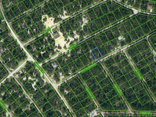 414 Apple Blossom Ct #27, Lake Placid, FL 33852