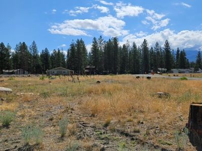 17406 Possum Way, Weed, CA, 96094