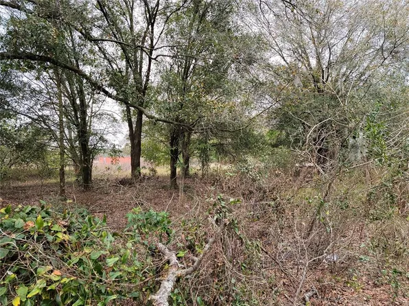 Pump Rd Lot 10, Mulberry, FL 33860