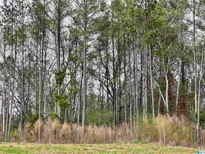 County Road 664, Roanoke, AL, 36274
