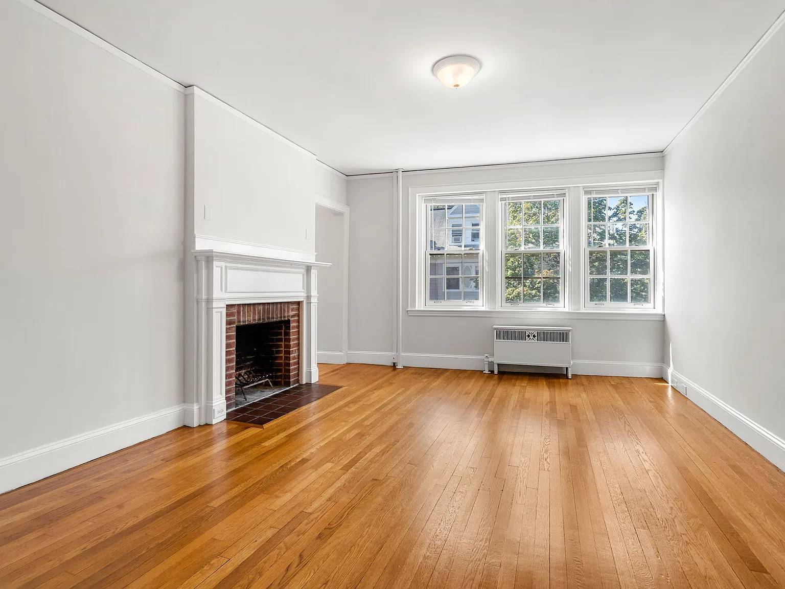 353 Harvard St — Photo 3
