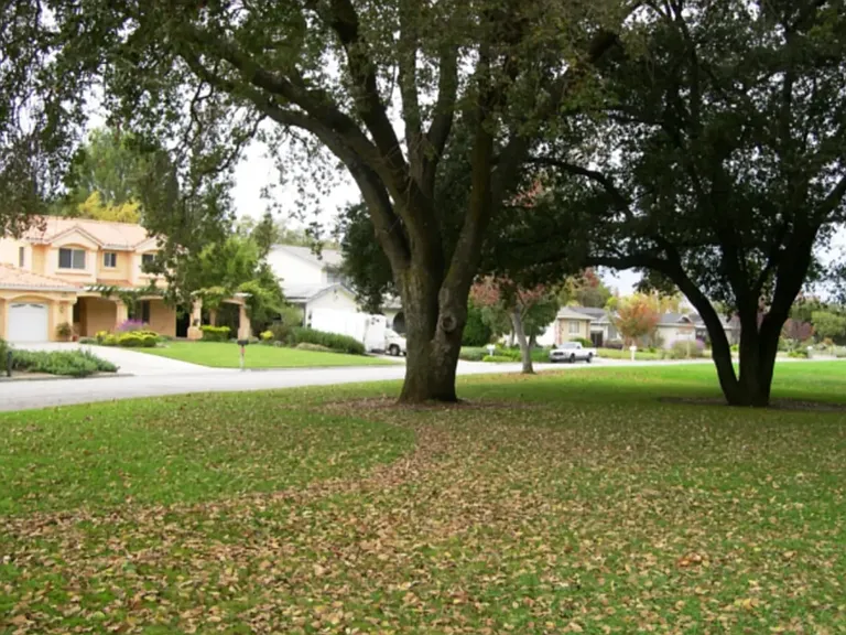 116 Granada Way — Photo 23