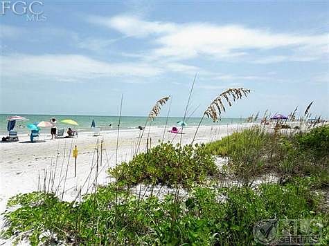 Turtles nesting among the sea oats.  Shelling is the best so come try it.