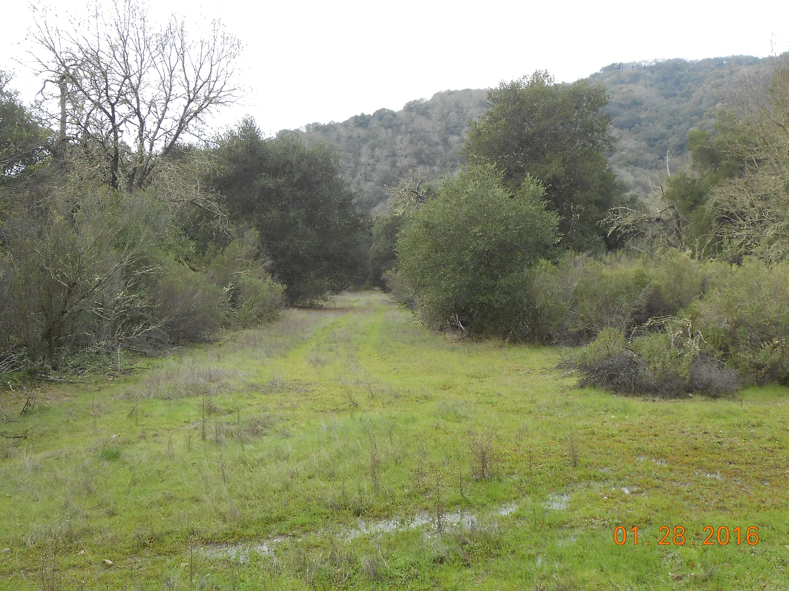 000 Watsonville Rd photo 1