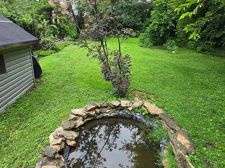 koi pond and shed, large backyard