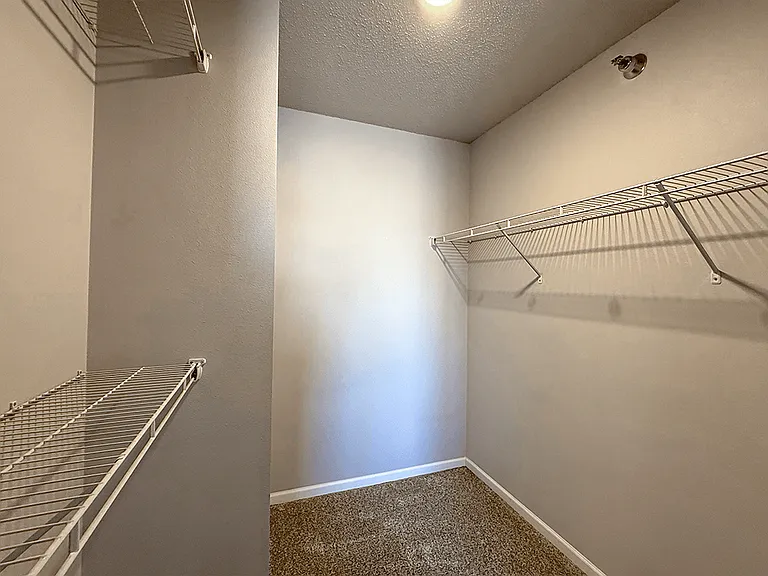 Large Walk-In Closets