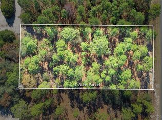 LOT 16 SE 136th Ter, Dunnellon, FL 34431