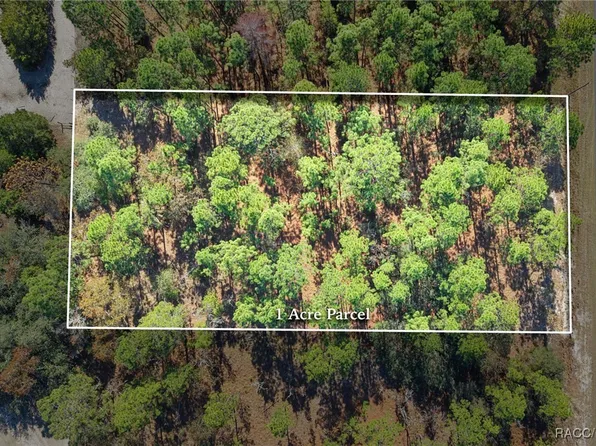 LOT 16 SE 136th Ter, Dunnellon, FL 34431