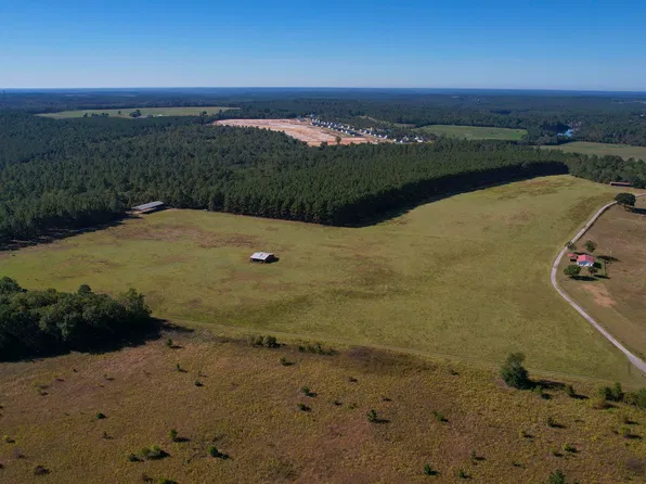 156 Big Sandy Dr, Pelion, SC 29123