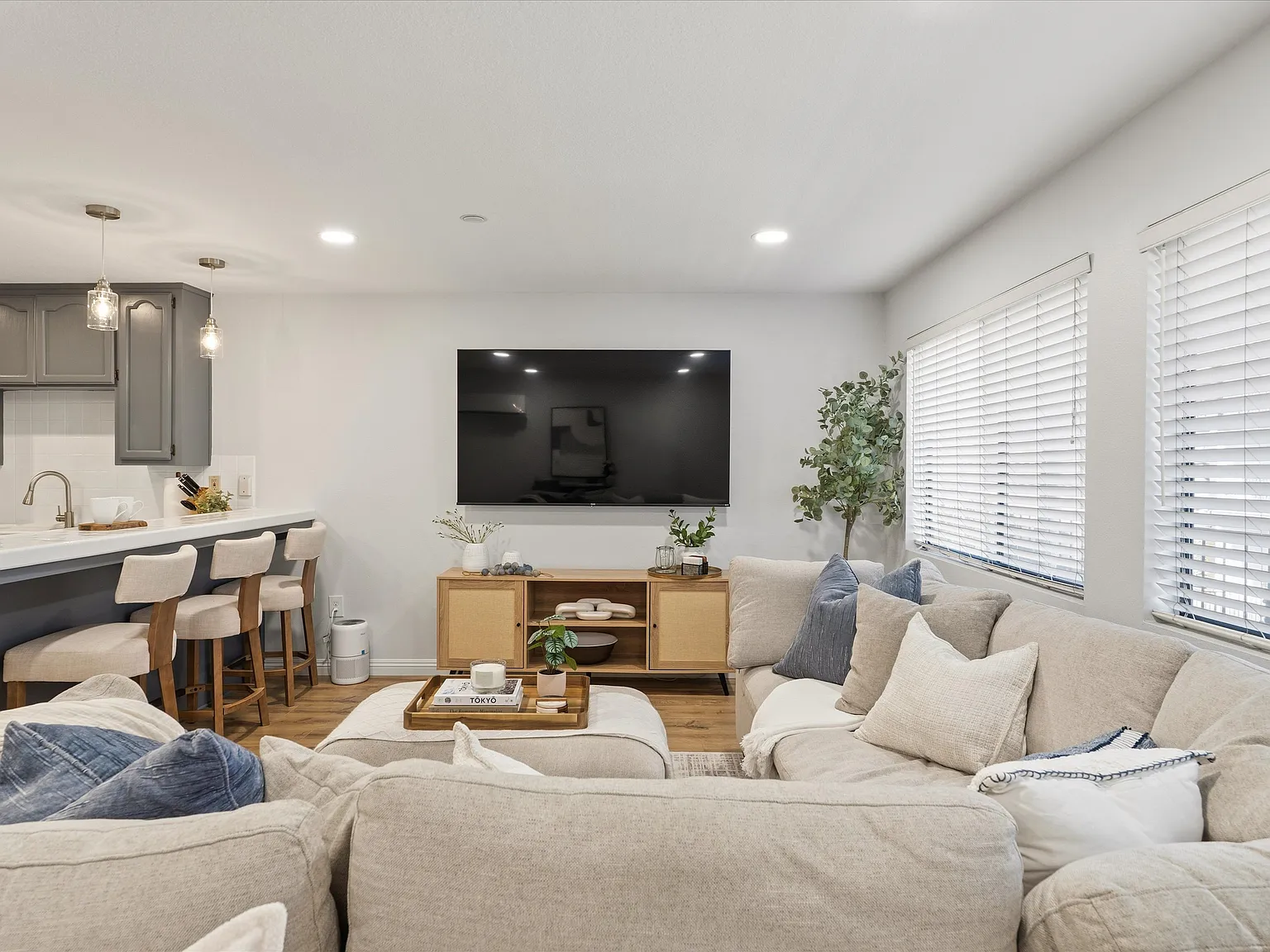 2 bed, 1040 sqft, $2,995 — Photo 3