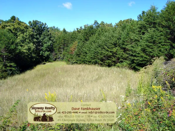 Pond Ridge Rd, Tellico Plains, TN 37385