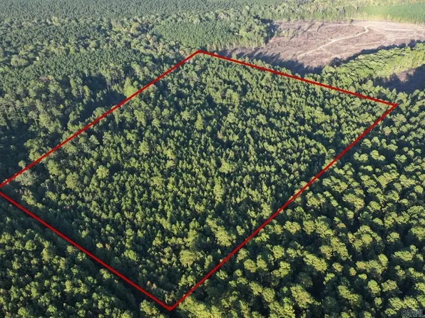 2700 Grant County Rd #36, Prattsville, AR 72129