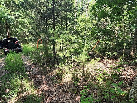 5th image of 0 Needles Way Lot 13
