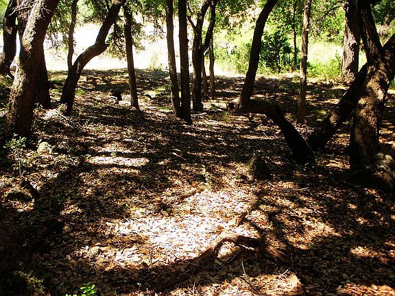 3rd image of Lost Creek/lost River