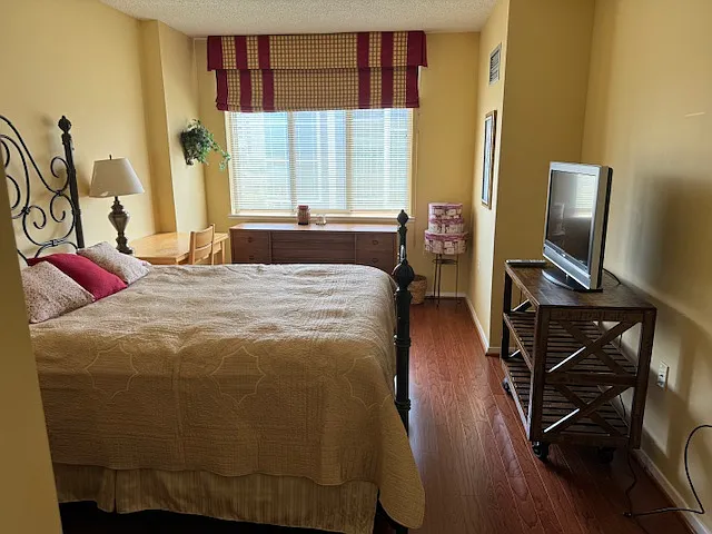 Large south-facing bedroom window - lots of bright light.