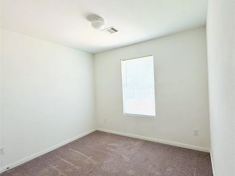 245 Water Oak — Photo 16