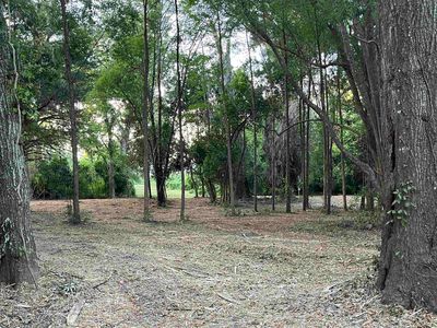 Hickory St, Monticello, FL, 32344