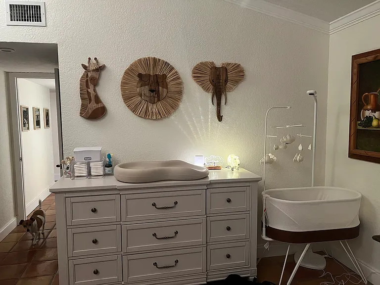 5248 Bolero Cir — Photo 9