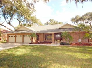 2204 Herndon St, Dover, FL 33527
