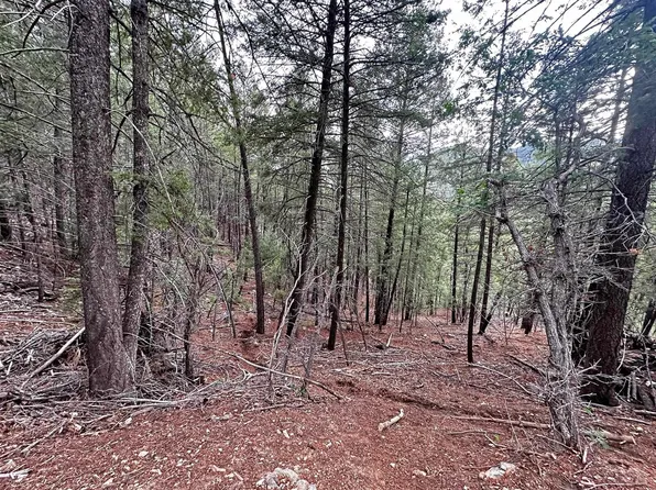 Devils Tower Ln, High Rolls Mountain Park, NM 88325