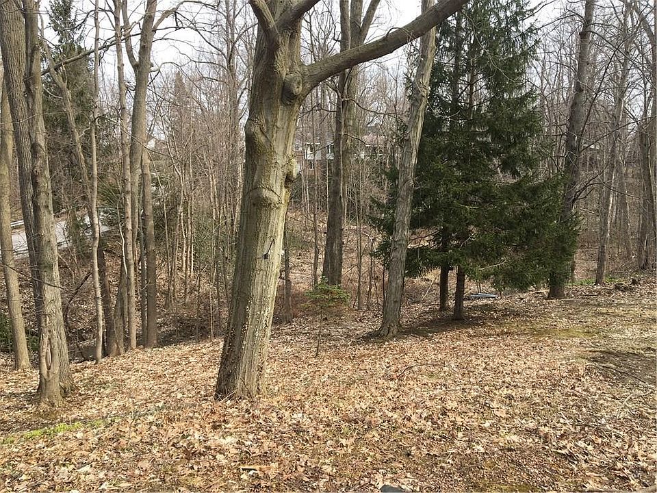 2nd image of 203 W Grandview Blvd