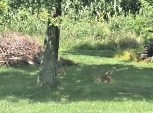 5638 E Burbank Rd, Woodlawn, IL 62898