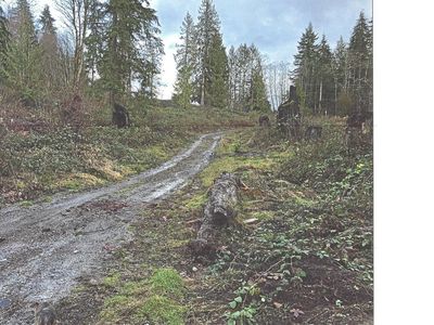 19800 Lerch Rd, Snohomish, WA, 98290
