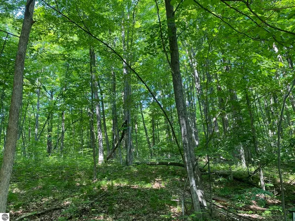 LOT 71 Birch View Trl, Lake Ann, MI 49650